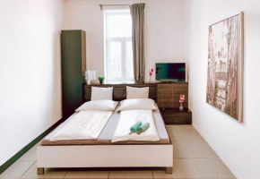 Accommodation near city center Brno, Brno